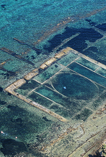 PUNTA DELLA VIPERA