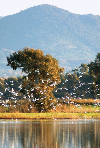 RISERVA NATURALE DI MACCHIATONDA