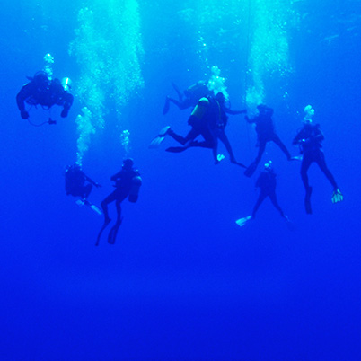 Sub e immersioni a Santa Marinella